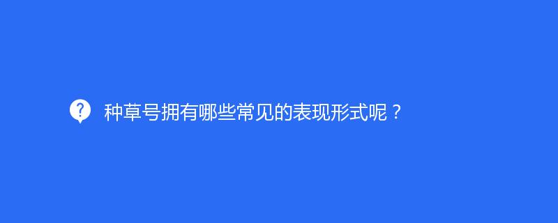 种草号拥有哪些常见的表现形式呢？